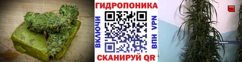 MEGA ссылки  Кореновск  Еда ТГК конопля 