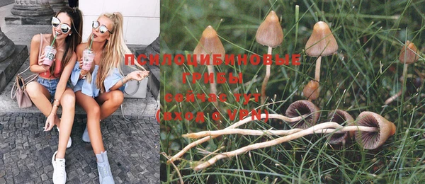МДПВ Бородино
