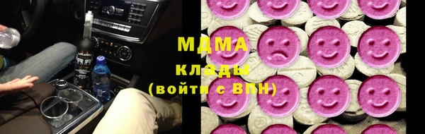 МДПВ Бородино