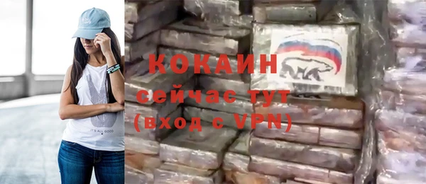 МДПВ Бородино