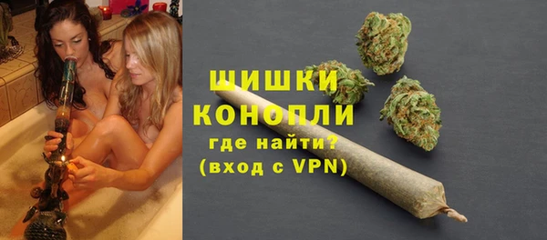 МДПВ Бородино