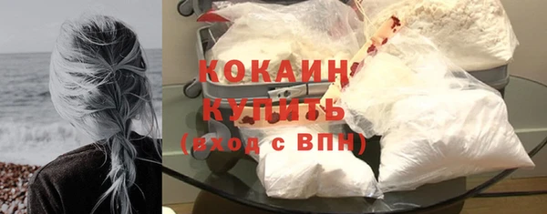 МДПВ Бородино