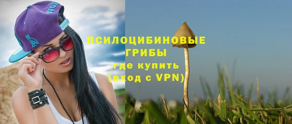 ALPHA-PVP Богородск