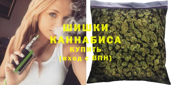 МДПВ Бородино