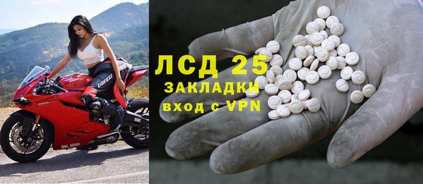 спиды Богородицк