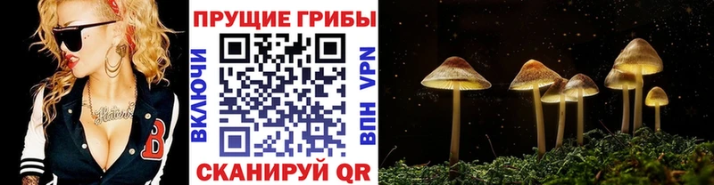 Галлюциногенные грибы мухоморы  Кореновск 
